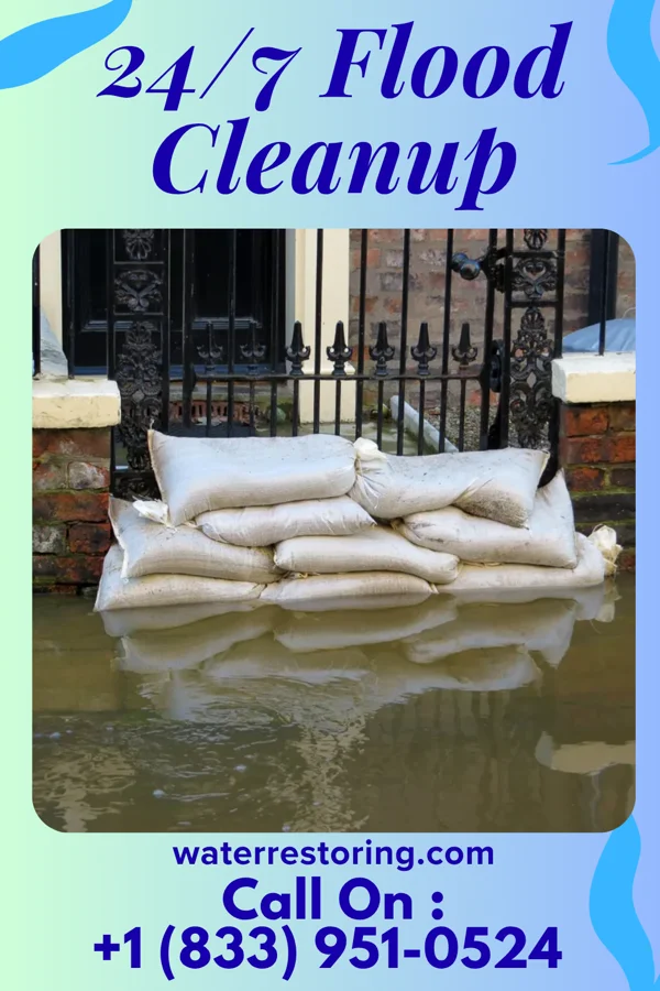 24/7 Flood Cleanup in Rincon, GA