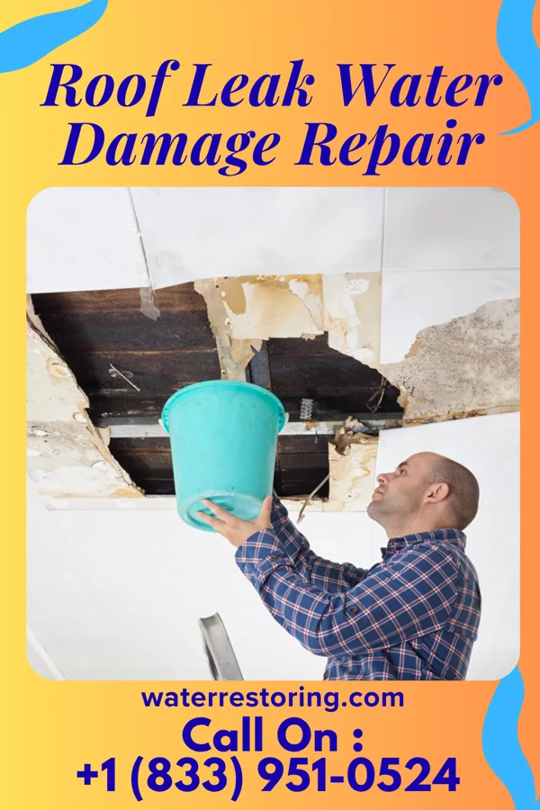 Roof Leak Water Damage Repair in Rincon, GA
