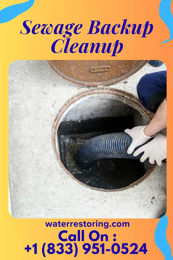 Sewage Backup Cleanup in Rincon, GA
